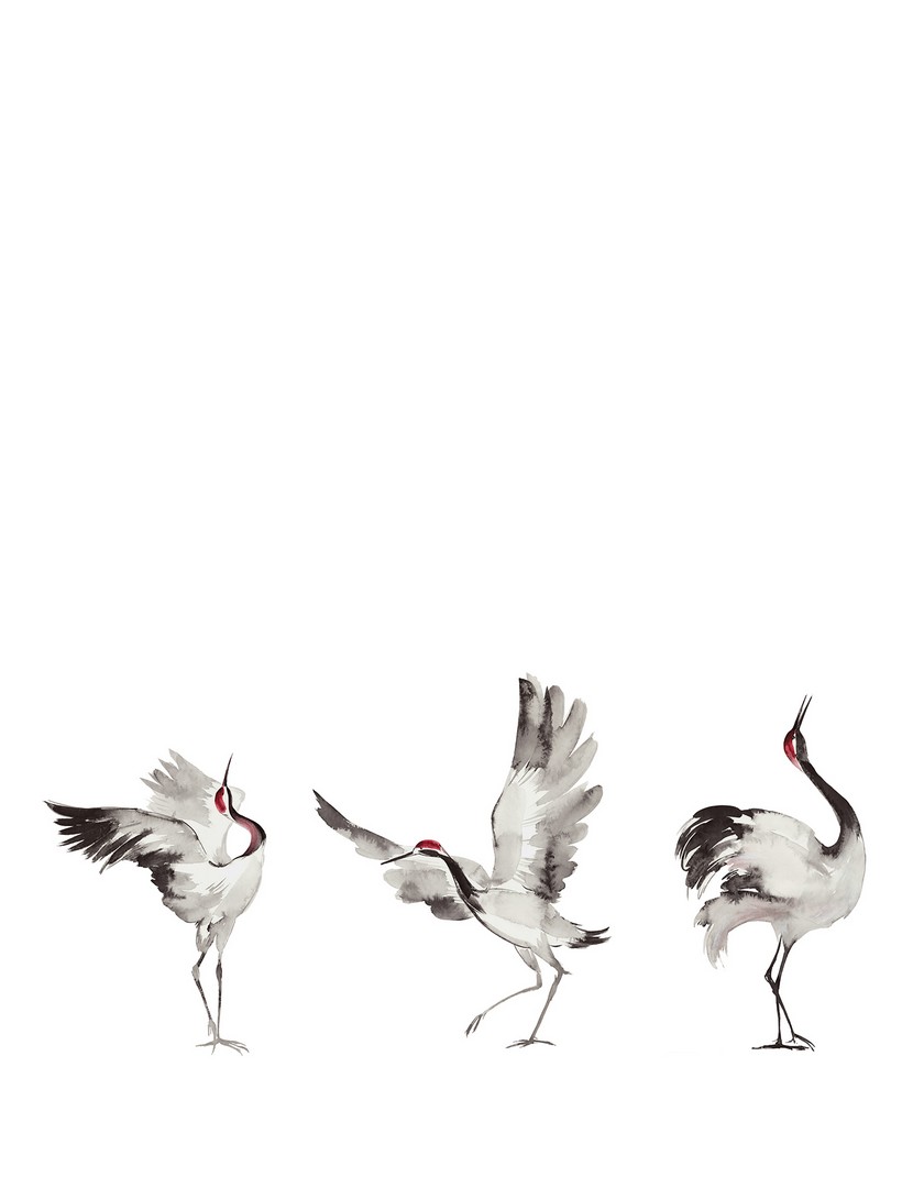 Mural Crush Motion 63440