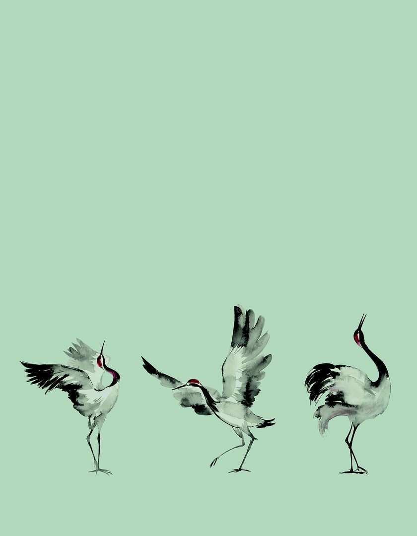 Mural Crush Motion 63441