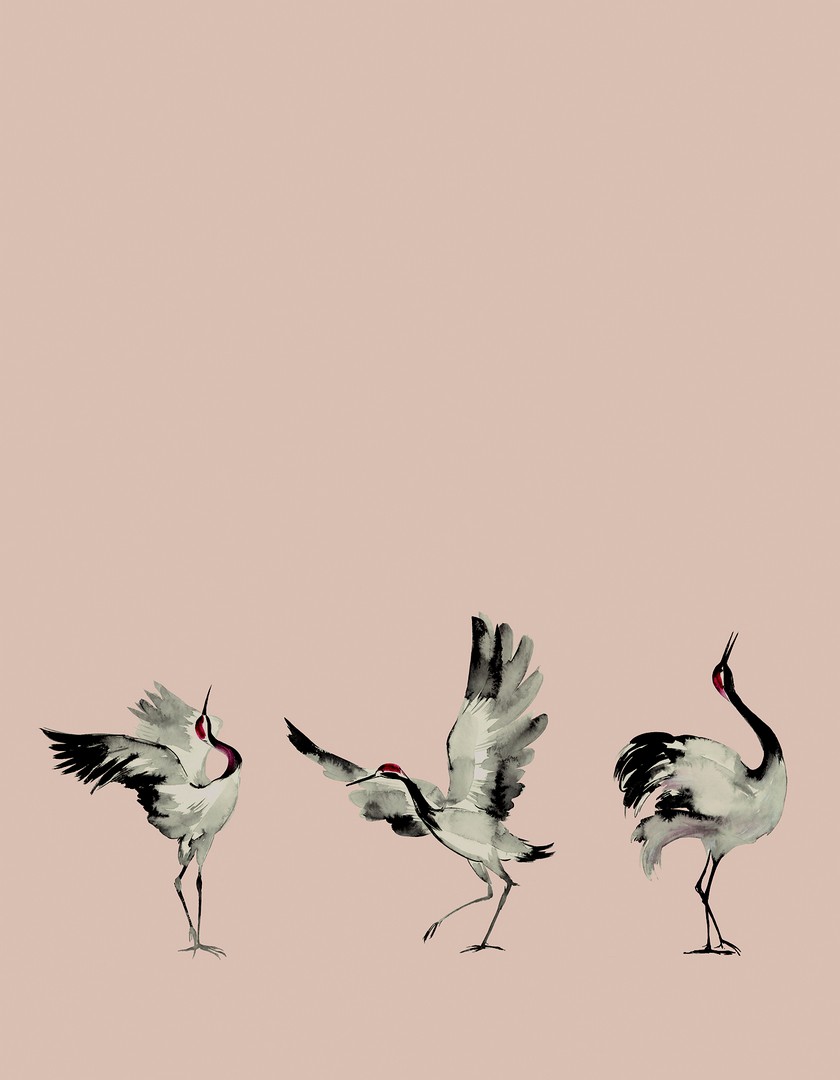 Mural Crush Motion 63442