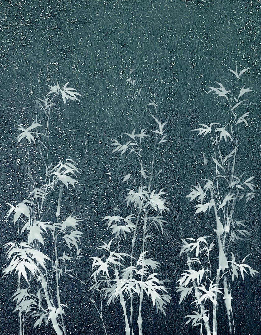 Mural Crush Motion 63445