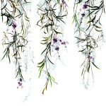 Mural Crush Motion 63452