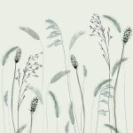 Mural Crush Motion 63458