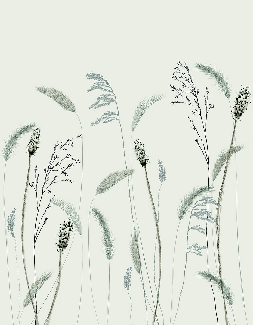 Mural Crush Motion 63458