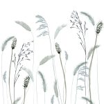 Mural Crush Motion 63459