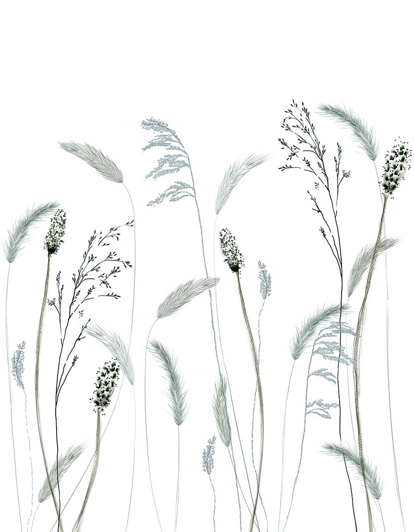 Mural Crush Motion 63459