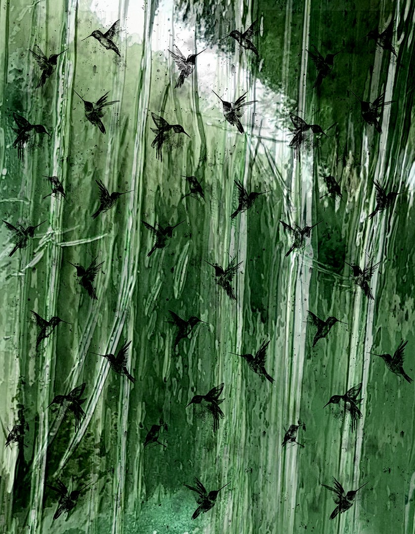 Mural Crush Motion 63463