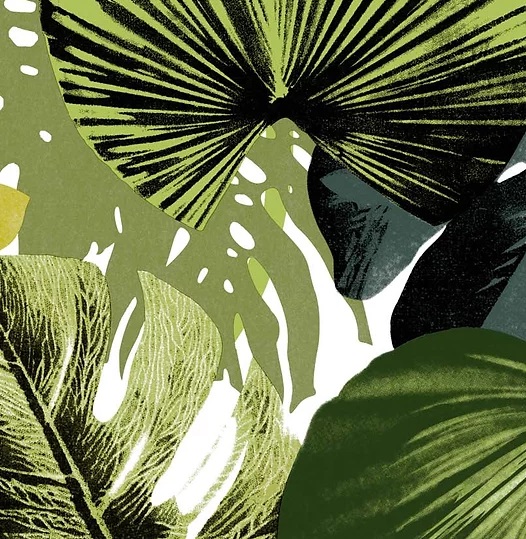 Papel Tapiz Bili Bili LV-10065