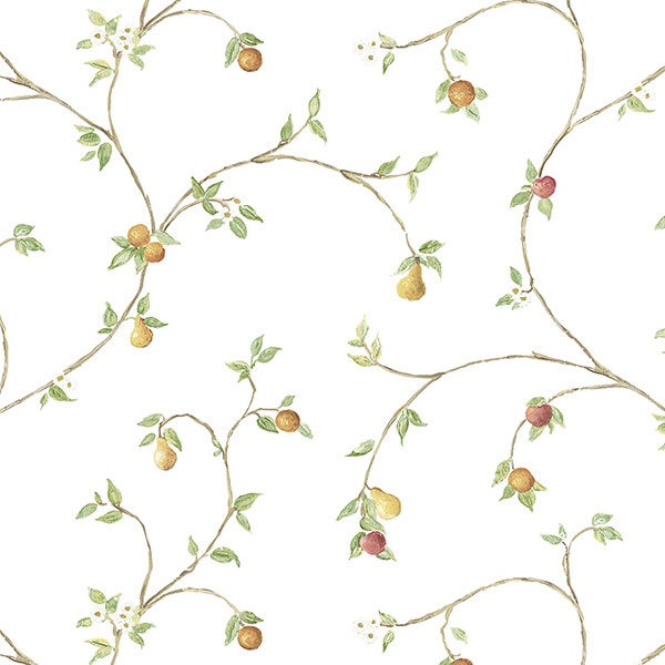 Papel Tapiz Creative Kitchens CK36607