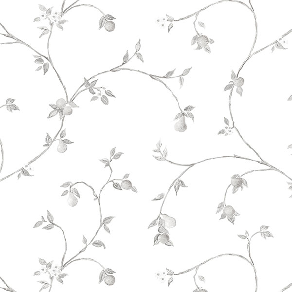 Papel Tapiz Creative Kitchens CK36608